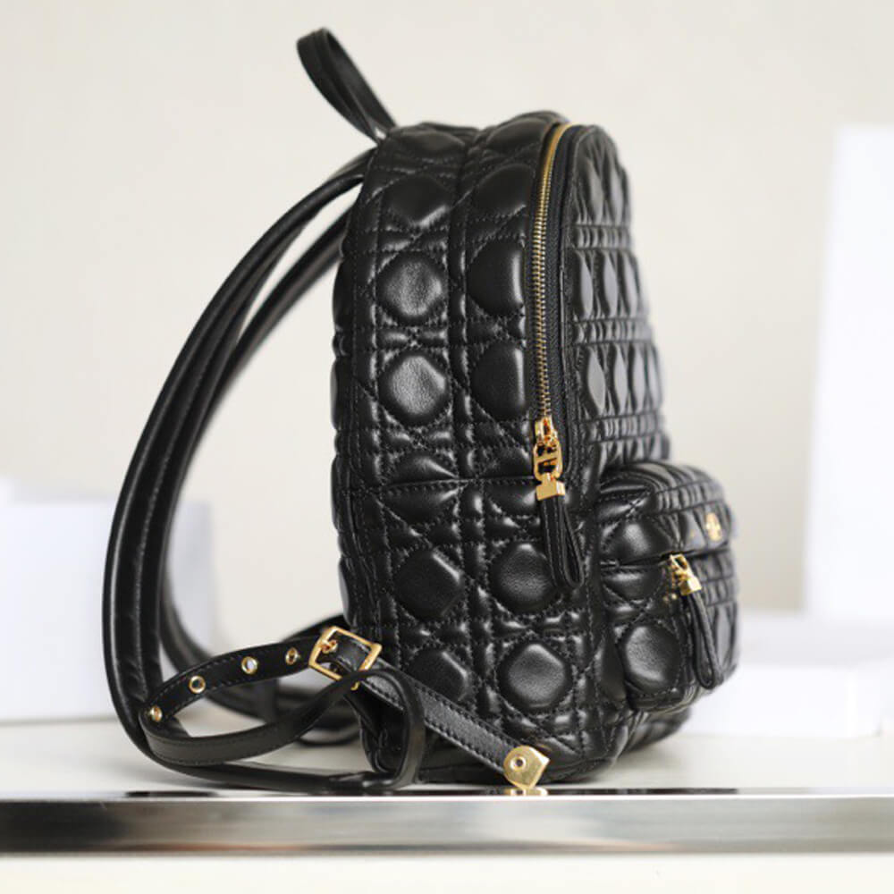 SMALL D10r BACKPACK