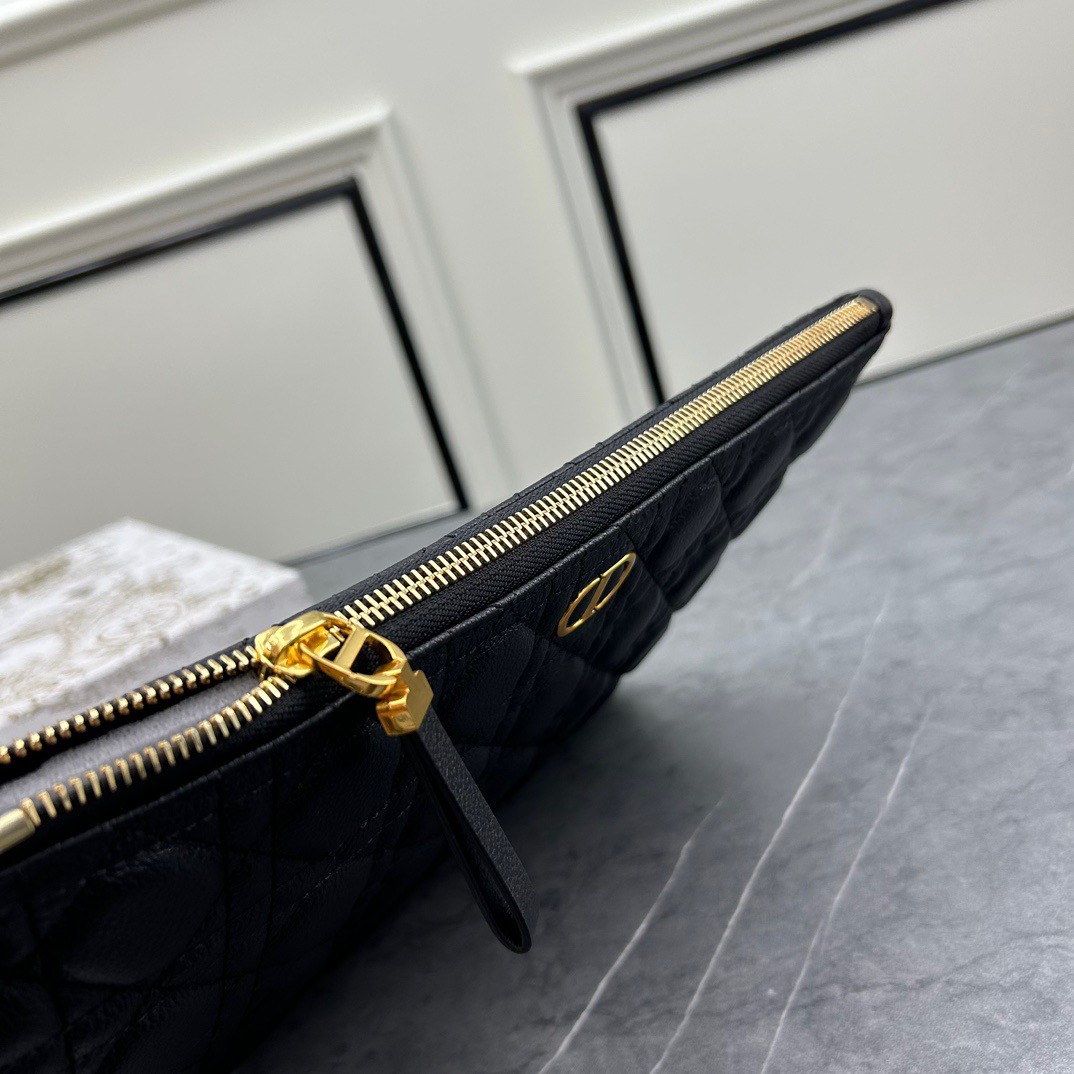 Large D10r Caro Daily Pouch(HIGH-END GRADE)