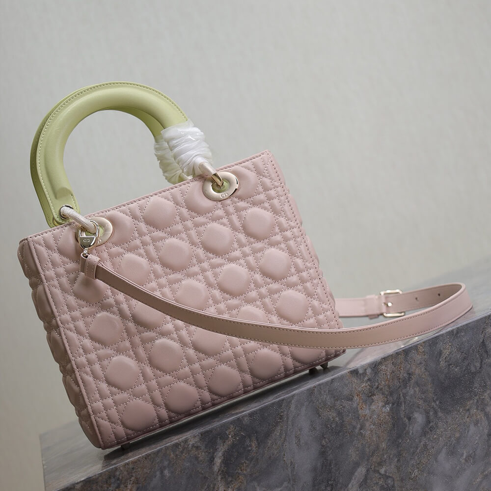 Medium Lady D10r Bag