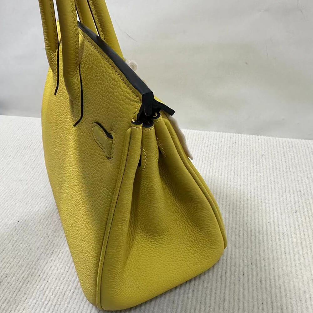 H**me5 Birkin 25 Bag(HIGH-END GRADE)