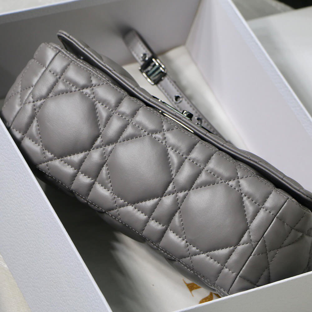 MEDIUM D10r CARO BAG(HIGH-END GRADE)