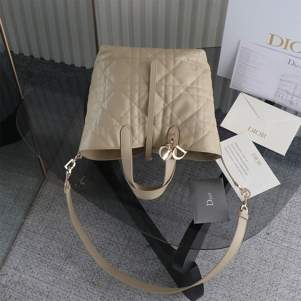 Medium D10r Toujours Vertical Tote Bag(high-end grade)