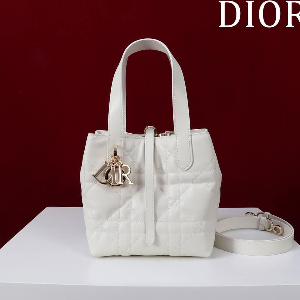 Small D10r Toujours Vertical Tote Bag(high-end grade)