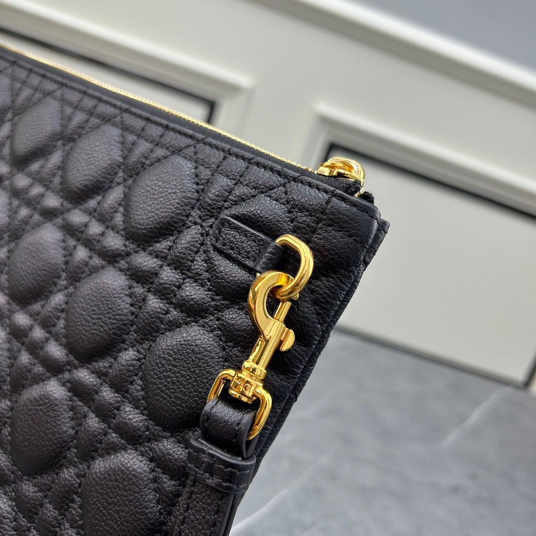 Large D10r Caro Daily Pouch(HIGH-END GRADE)