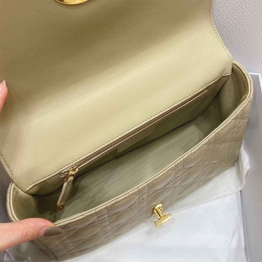 MEDIUM D10r CARO BAG(HIGH-END GRADE)