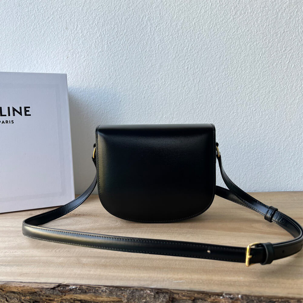 Ce1i*e BESACE CLEA in shiny calfskin(HIGH-END GRADE)