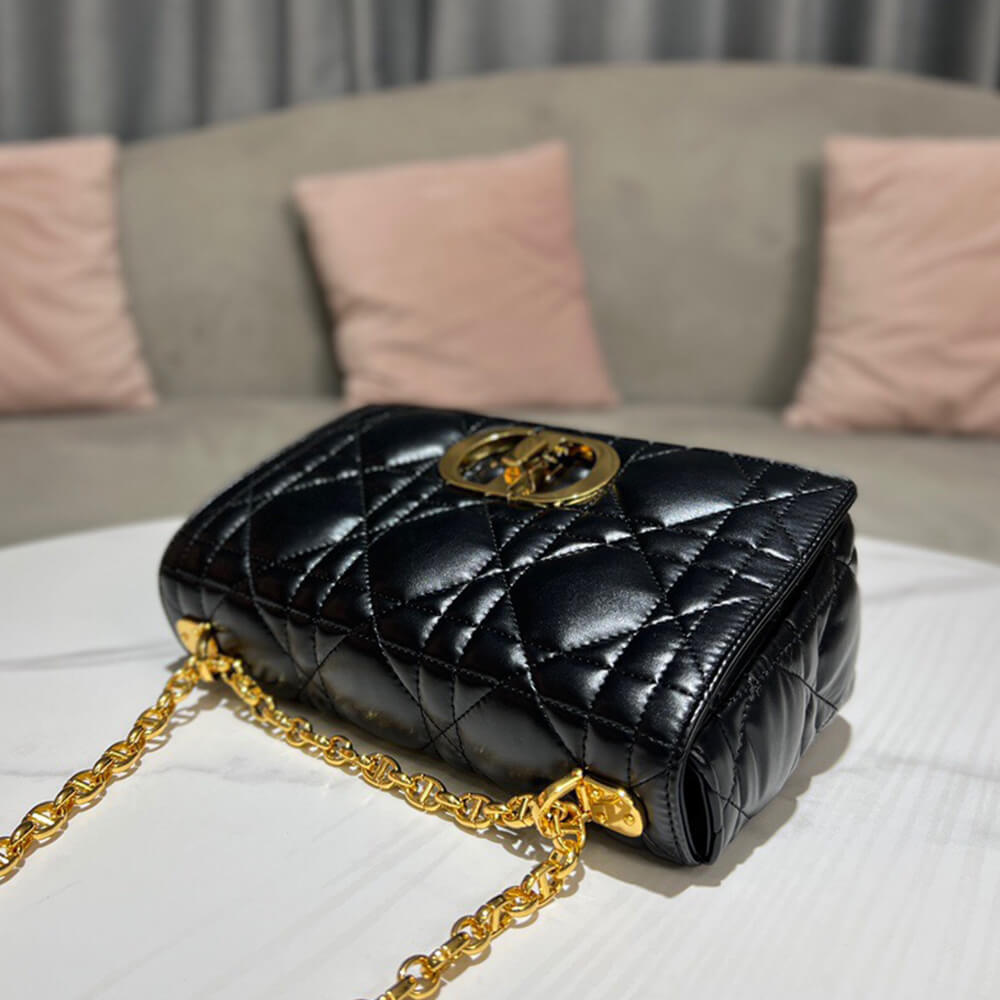 MEDIUM D10r CARO BAG