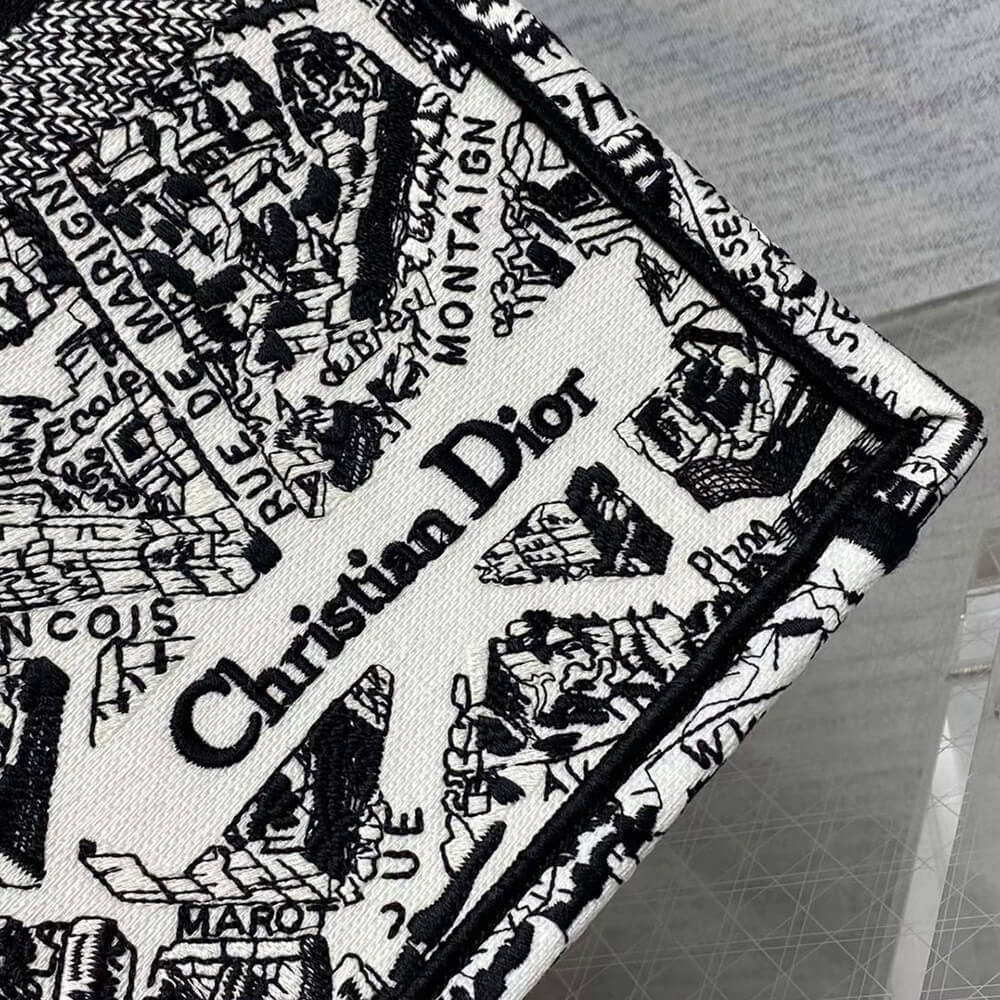 LARGE D10r BOOK TOTE