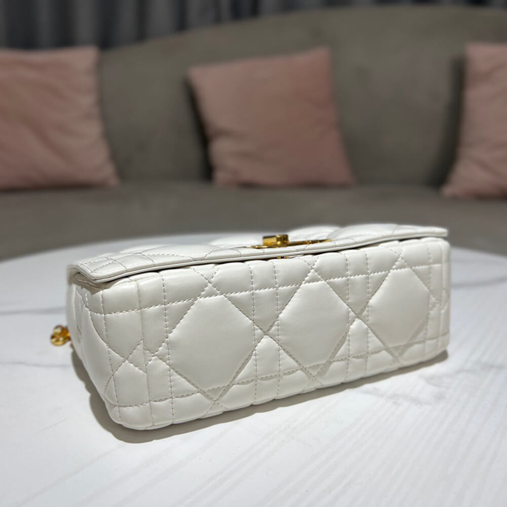 MEDIUM D10r CARO BAG