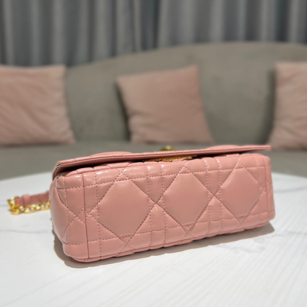 MEDIUM D10r CARO BAG