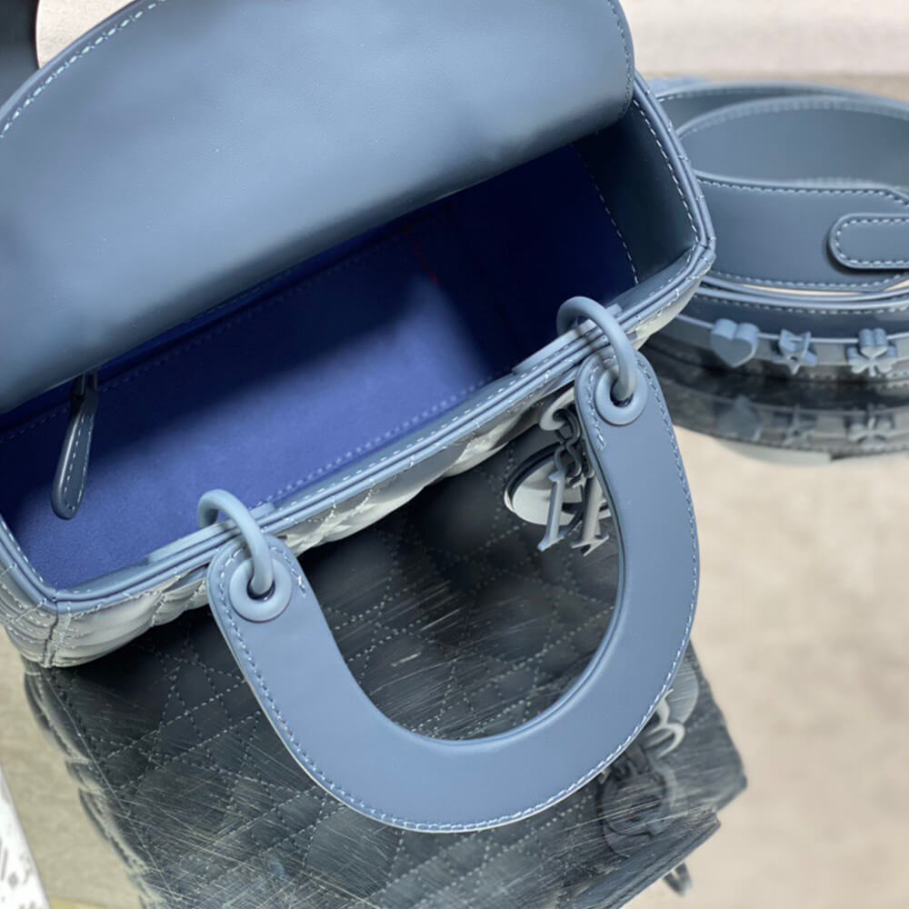 SMALL LADY D10r MY ABCD10r BAG