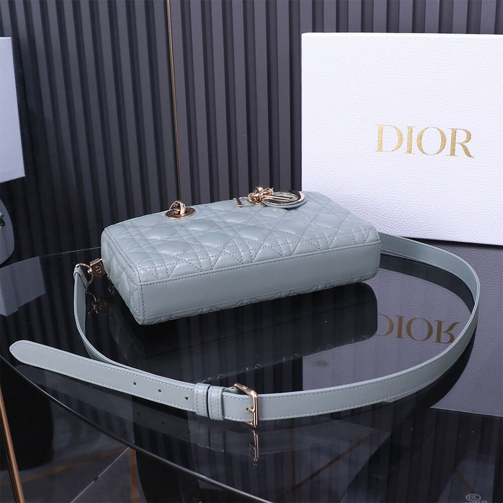 D10r Medium Lady D-Joy Bag(HIGH-END GRADE)