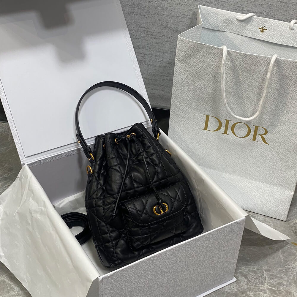 Small D10r Caro Bucket Bag(HIGH-END GRADE)