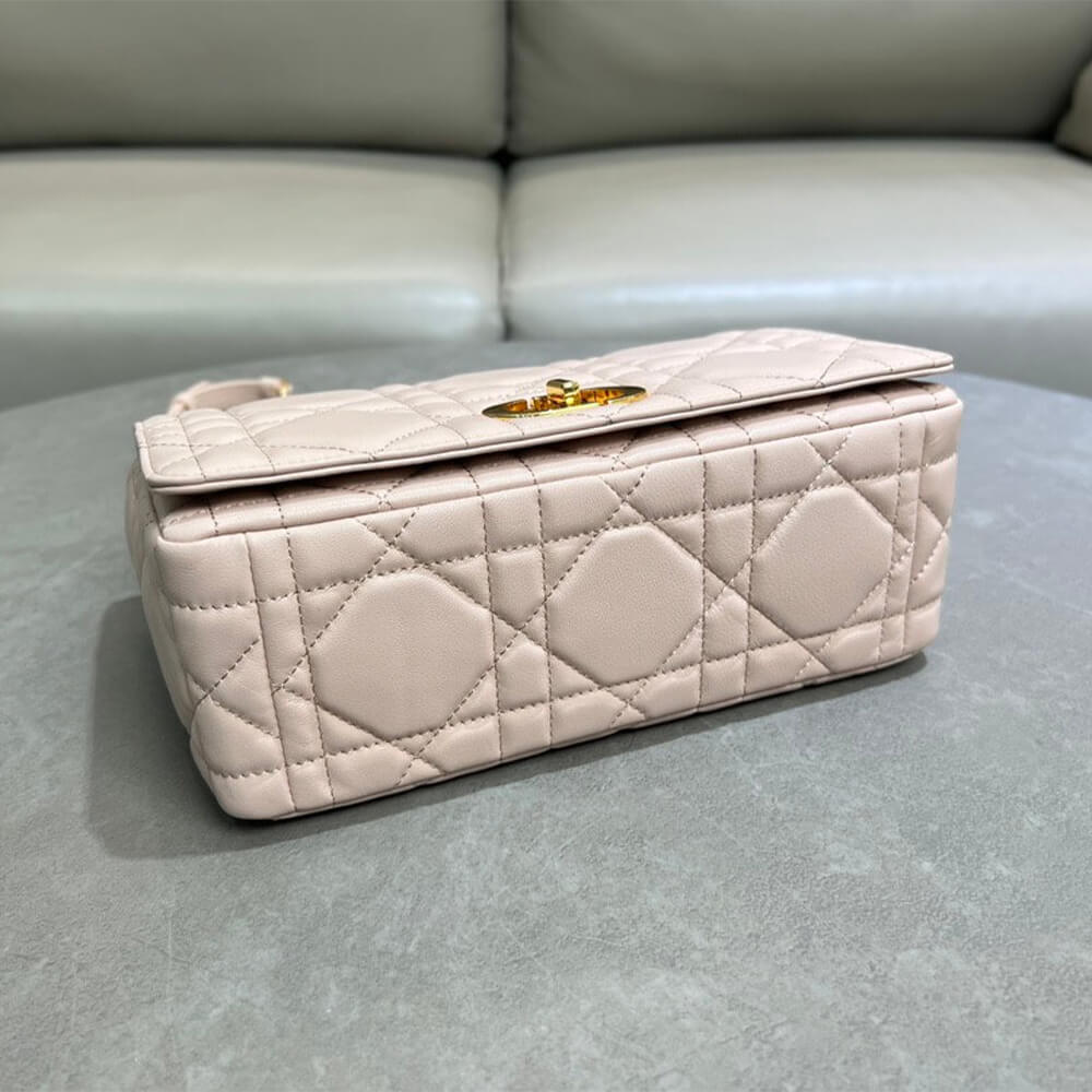 Medium Soft D10r Caro Bag((HIGH-END GRADE))