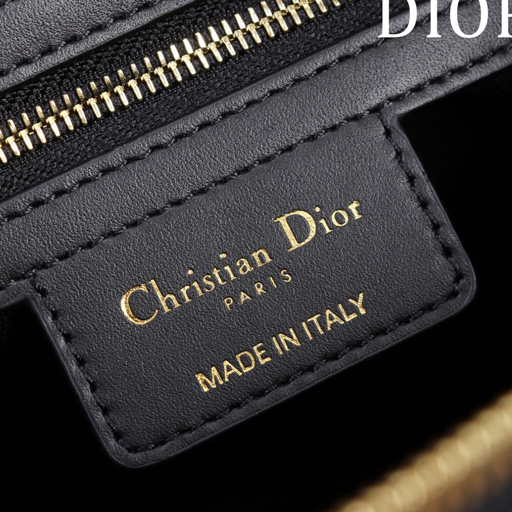 D10r Medium D-Journey Bag in Vintage Smooth Calfskin(HIGH-END GRADE)