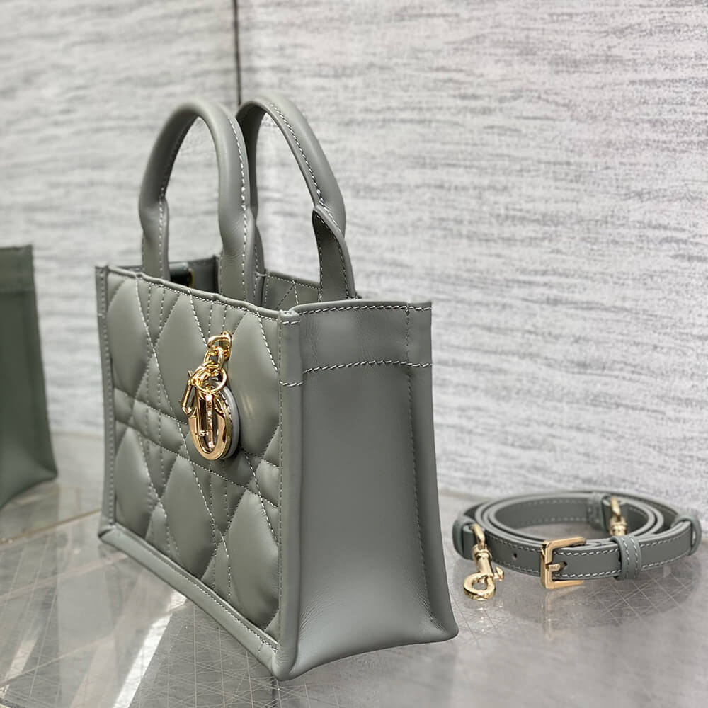 Mini D10r Book Tote