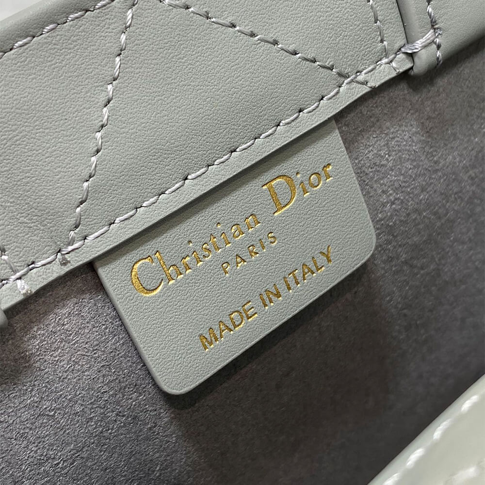 Mini D10r Book Tote