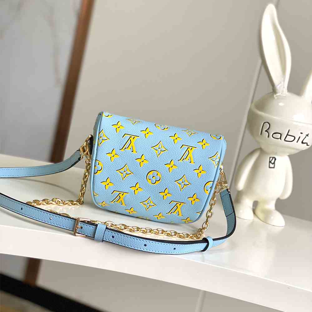 LV Mini Bumbag