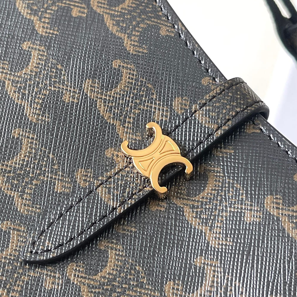 Ce1i*e TINA SHOULDER BAG IN Triomphe canvas