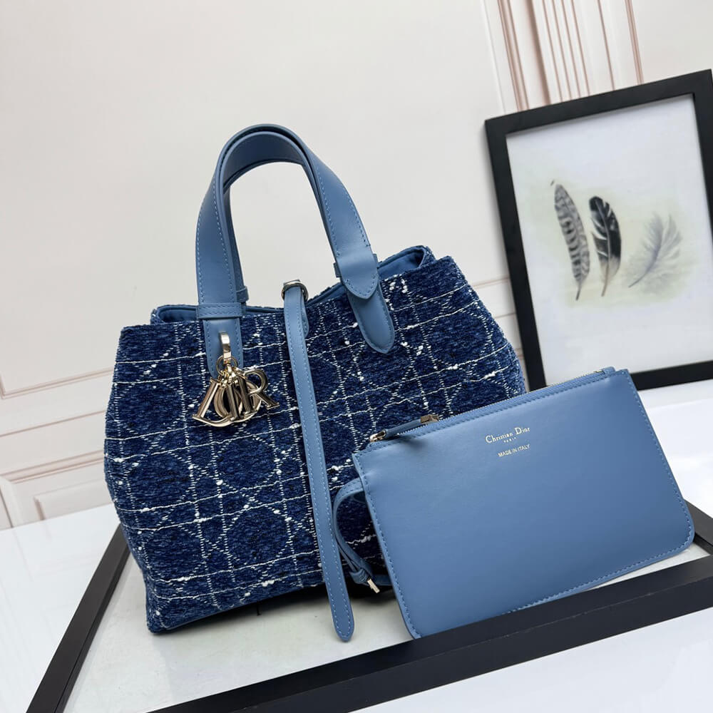 Medium D10r Toujours Bag