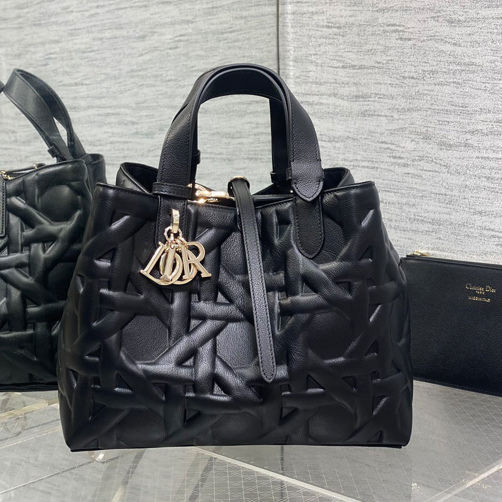 Medium D10r Toujours Bag
