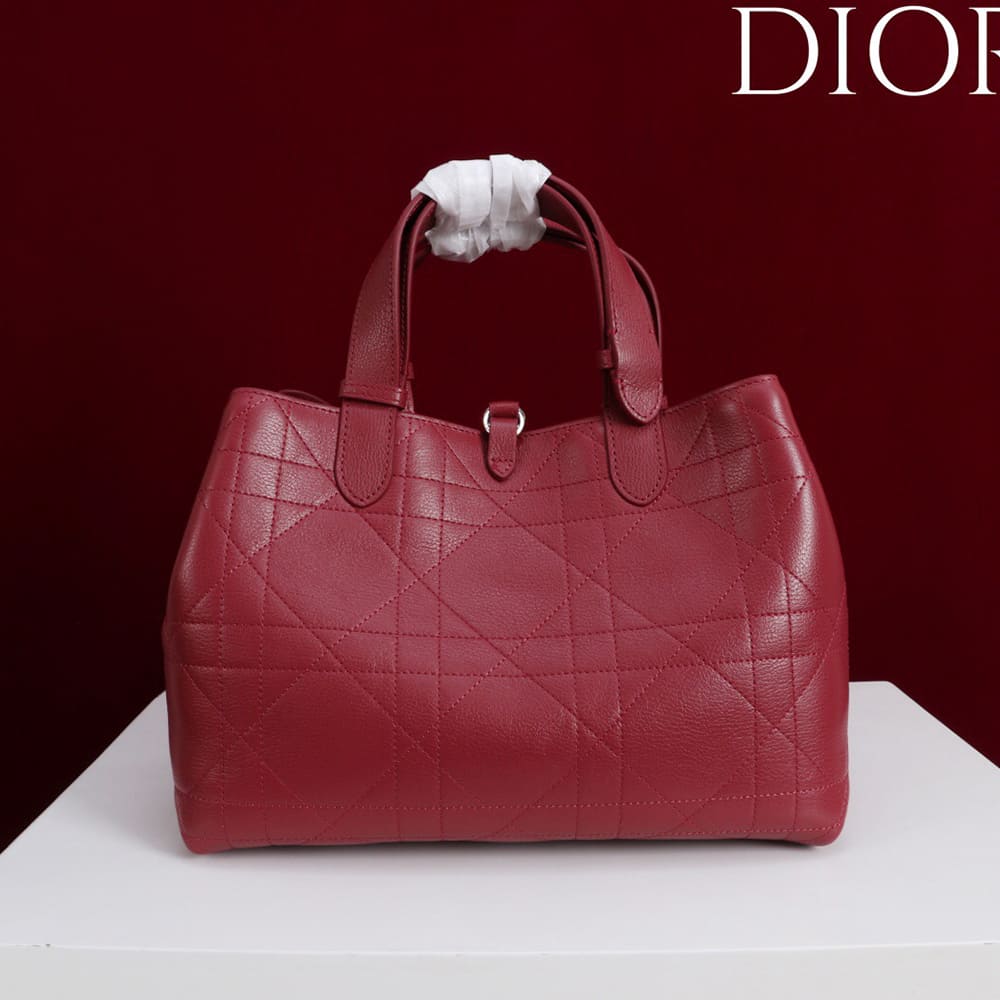 Medium D10r Toujours Bag