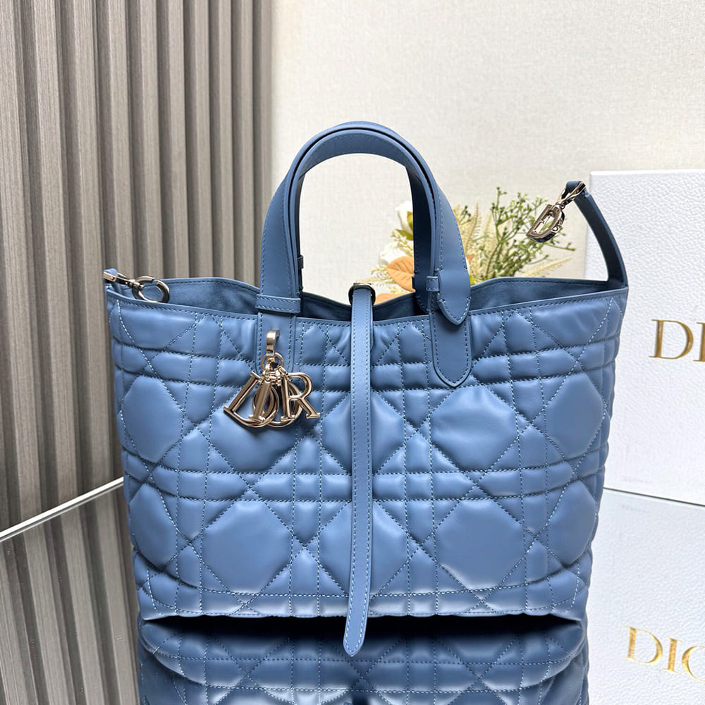 Medium D10r Toujours Bag
