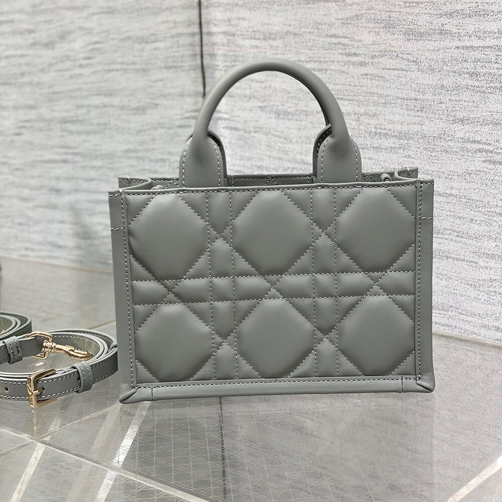 D10r Mini D10r Book Tote