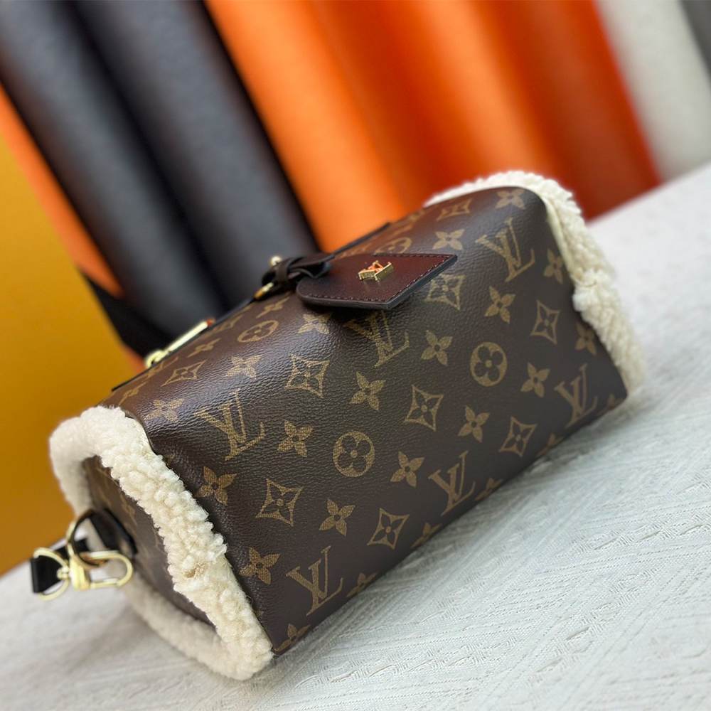 LV Teddy Mitt