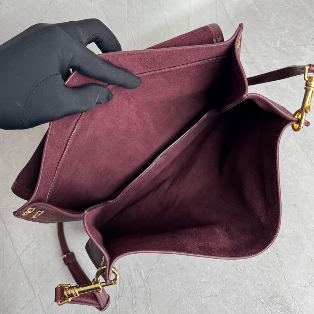 Ce1i*e SOFT TRIOMPHE BESACE IN S*pPLE SHINY LAMBSKIN(HIGH-END GRADE)