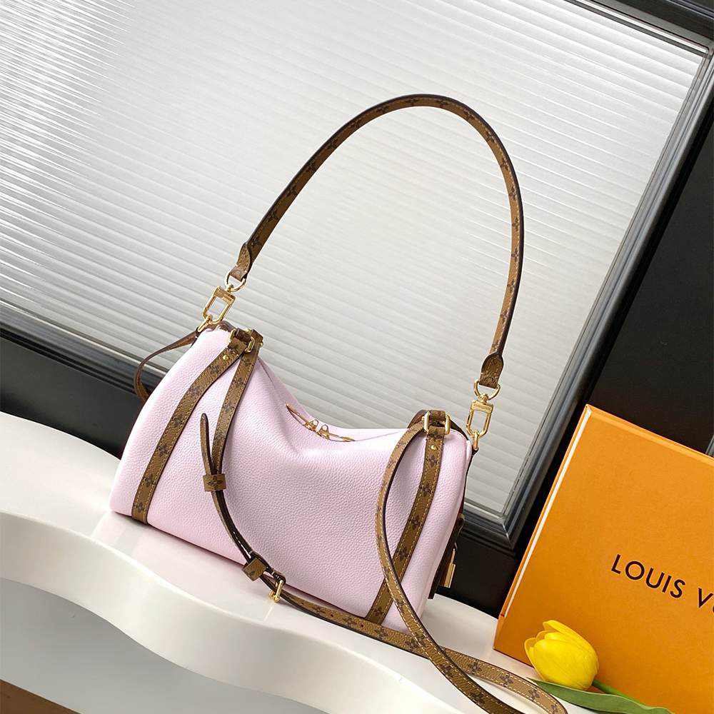 LV Express PM