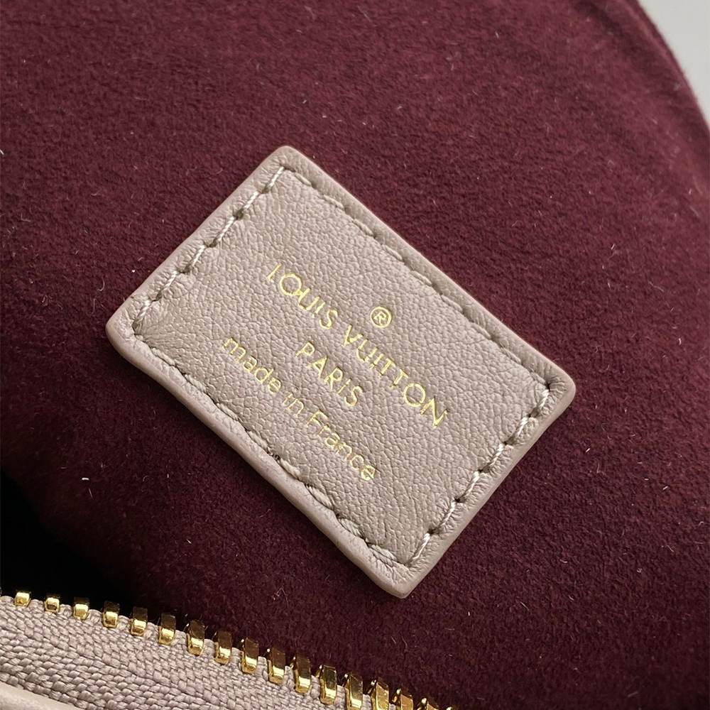 LV Coussin Hobo MM(HIGH-END GRADE)