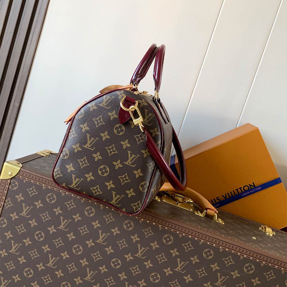 LV Speedy 30 Soft Celebration