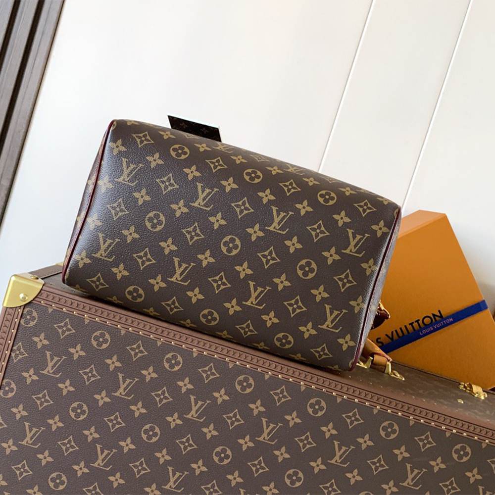 LV Speedy 30 Soft Celebration